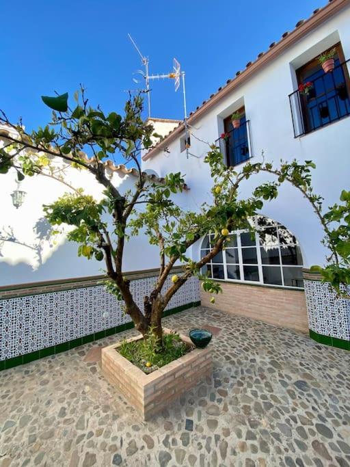 Casa Del Marques Apartment Fregenal de la Sierra Exterior photo